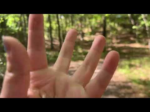 ASMR for People Who Need to Touch Grass | Soft Spoken Hike With Me!!