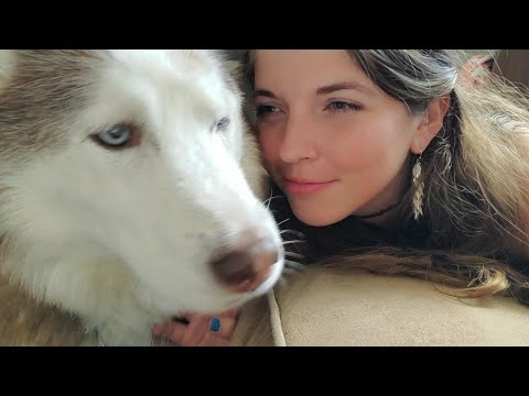 Husky Does ASMR