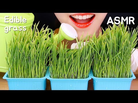 I'm eating grass🌿 ASMR EDIBLE GRASS ASMR SALAD ASMR VEGAN FOOD MUKBANG NO TALKING