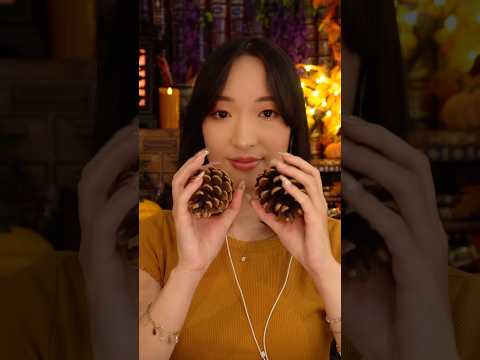 ASMR Pommes de pin 🍁😍 (2min20 no talking)