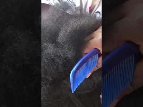 Best sleep therapy- hair scratching #asmr #hair #headscratching #headscratches #nitpicking