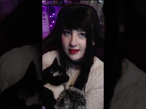 Kitty purring asmr #shorts