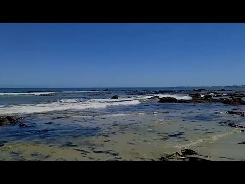 {ASMR} At The Beach