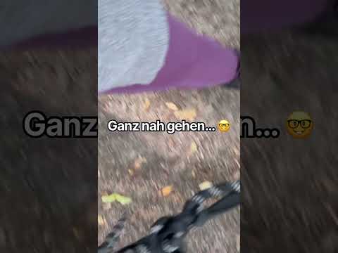 Ich würde es jetzt einfach mal Wild ASMR nennen… 🌼