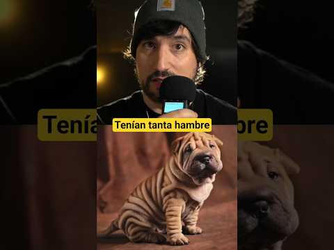 ¿En China comían perros?