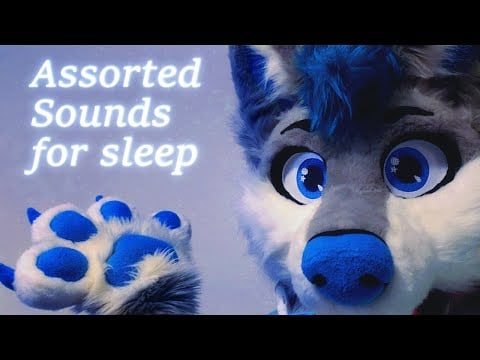 [Furry ASMR] Assorted Sounds for sleep (talking)