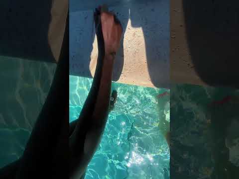 who does it better asmr #asmr #lofiasmr #poolasmr #relax