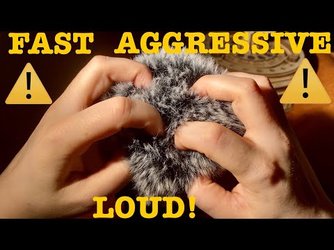 ASMR|⚠️EXTREME! FAST AGGRESSIVE LOUD SCALP SCRATCHING MASSAGE RUBBING FLUFFY COVER.Almost no talking