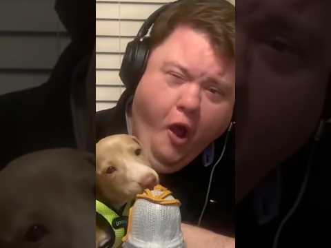 ASMR WITH DOGGIES #asmr #asmreating #short #dogs