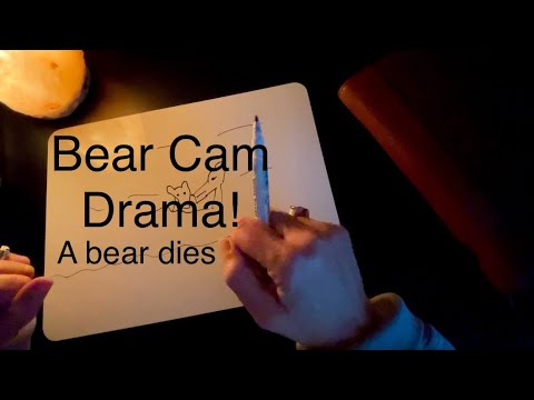 Bad News Bear Cam Update (Bear Death) 469 attacks 402 ~ Soft Spoken Discussion