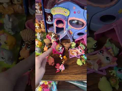 lps collection tour!! ASMR