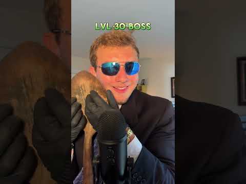 Boss vs crook asmr