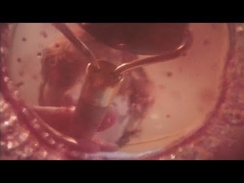 ASMR | Relaxing Face Massage with a Jade Roller and Ice Globe