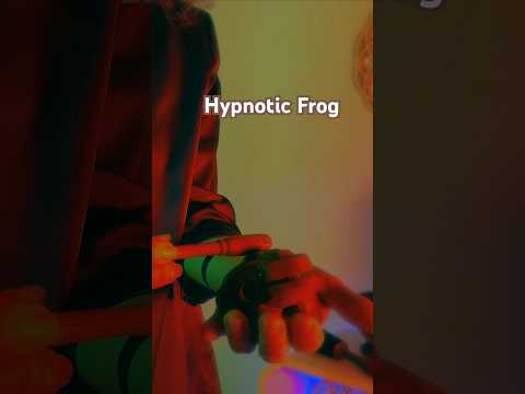 RANA IPNOTICA ASMR #arasulèasmr #asmrsounds #relax #hypnotic #hypnoticvibes #healingtechniques