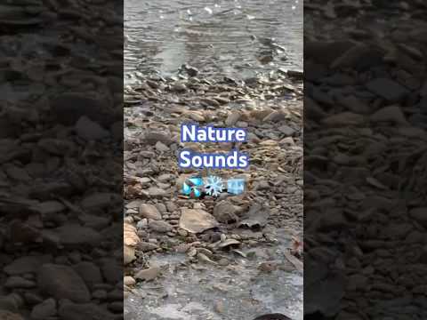 #naturesounds #winter #tingles  #asmrsounds #asmrnature #asmrnaturesounds #fyp #fypyoutube