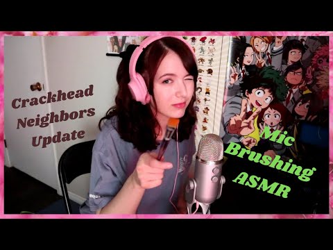 Mic Brushing ASMR w Whisper Rambling