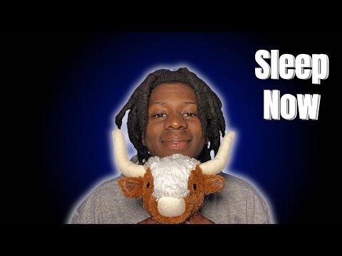 ASMR PLEASE Sleep Now (or I Quit 😳)
