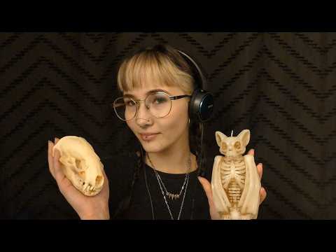 ASMR🖤 | Bone & Candle Tapping 🦴🕯️ Cozy, Casual Triggers