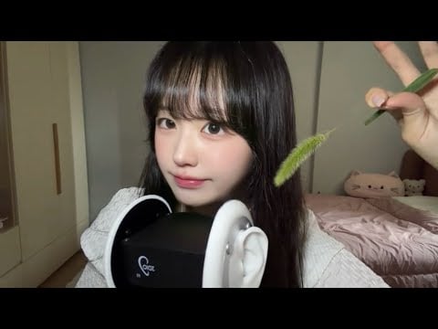 강아지풀로 귀 간지럽히기 ASMR🌱 | 간질간질 귀 괴롭히기