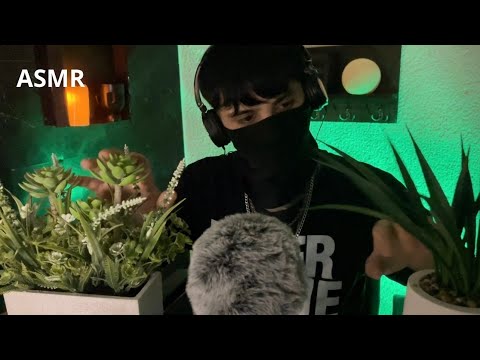 ASMR con PLANTAS ARTIFICIALES 🪴