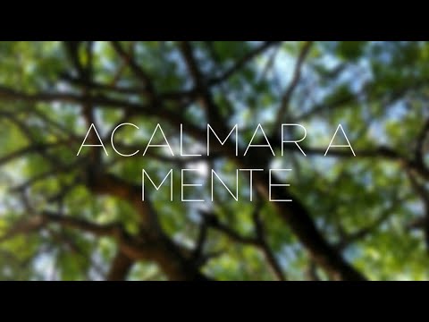 MEDITAÇÃO PARA ACALMAR A MENTE E CORAÇÃO