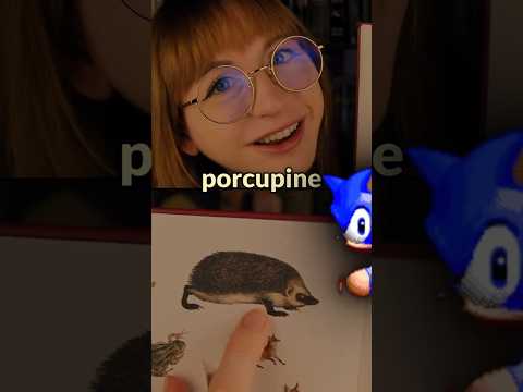 What was your favorite subject? #asmr