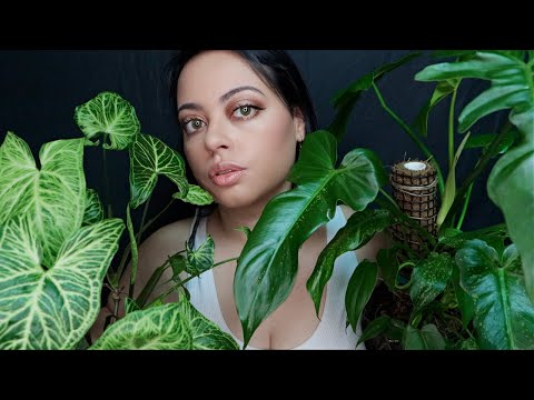 ASMR| Plant Collection - Uncommon Plants to Fall Asleep to (tapping, leaf sounds)