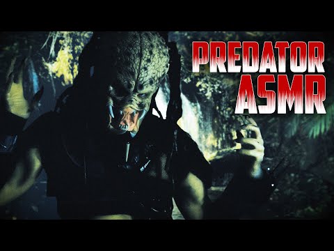 Predator ASMR Roleplay | Healing You for the Hunt (No Talking)