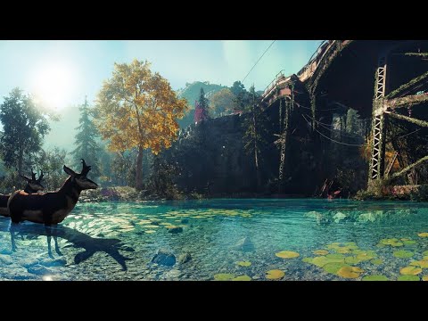 Far Cry: New Dawn (Balade) - Gaming / ASMR Français