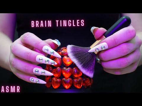 Asmr Deep Mic Brushing , Scratching & Stroking | Brain Melting Asmr No Talking for Sleep |Long Nails