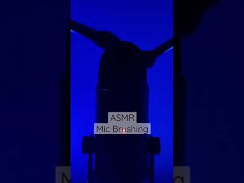 ASMR Mic Brushing #shorts #asmr #micbrushing