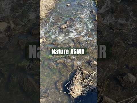 A little Nature ASMR #asmr #asmrsounds #naturesounds #natureasmr #watersounds