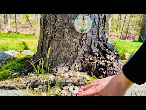 ASMR! Outside Tingles 🏡
