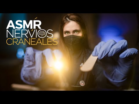 ASMR de Nervios Craneales: ¡La Experiencia Médica Más Realista y Relajante!