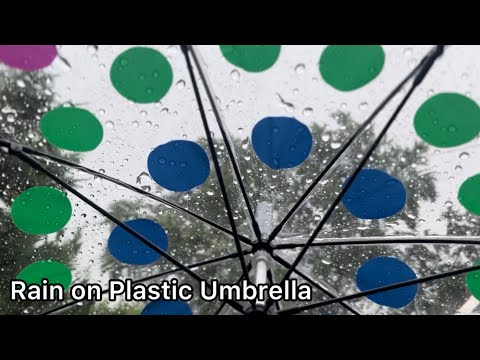 ASMR Real Rain drops on plastic umbrella (No talking) walking around my yard , Nature Sounds