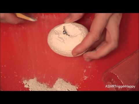 Bug Dig Activity Kit (ASMR)