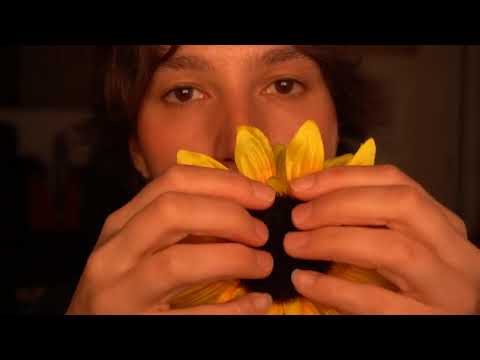 ASMR Up-Close Unpredictable Personal Attention
