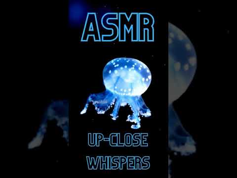 Up-close Jellyfish facts ASMR #Shorts