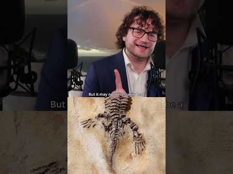#ASMR The Bunyip, Mysterious & Dangerous Australian Cryptid