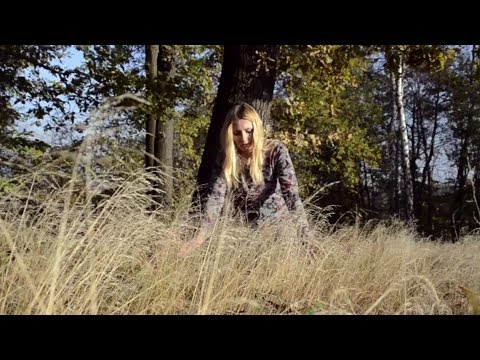 nature ASMR - 🌞 Last rays of autumn sunshine 🌞