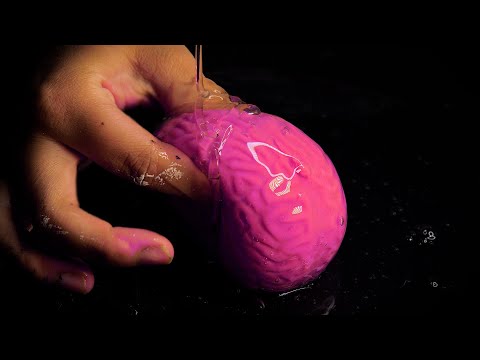 [ASMR] The moment the brain melts! 20+ triggers (subtitles, eating sounds, slime, summary)