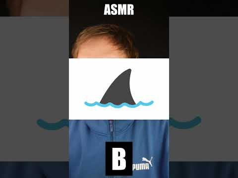 Guess the flag ASMR [Finland]