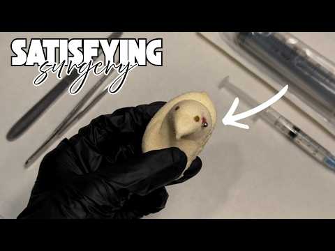 [ASMR] Surgery On A Marshmallow Peep | Infected Piercing