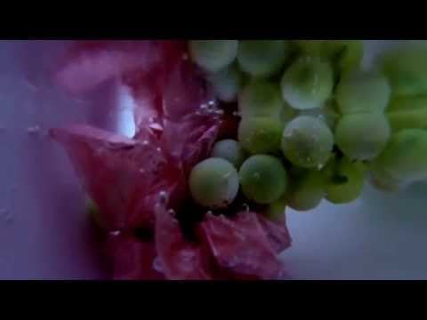 Veterinary Gloves under water [[ASMR]]