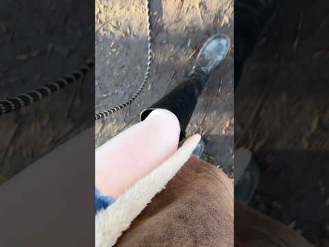 ASMR spazieren gehen, in der Sonne und die Strahlen auf meine glänzende Strumpfhose scheinen lassen.
