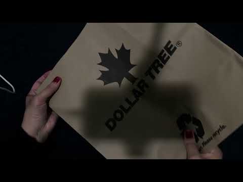 ASMR Dollar Tree Paper Shopping Bag Sounds NO Talking Crinkle Sounds 