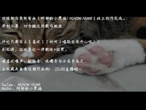 MOUTH SOUNDS | 口腔音 | 嘴声 |  一图流 | 很久以前的            【阿郁的小黑猫/ MIAOW ASMR】