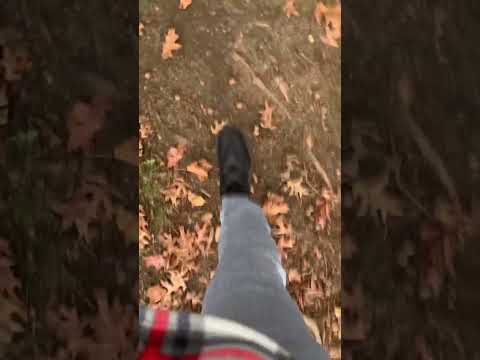 Take a Walk With Me ASMR - NO TALKING