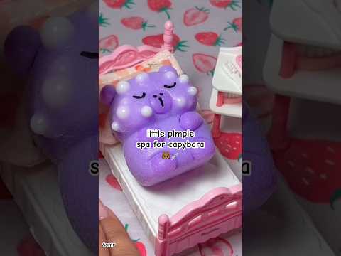 Pimple Popping On A Capybara Squishy 💉💦🐻 #asmr #pimplepopping #squishy #pimplepoping #moogemasmr