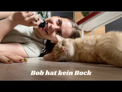 ASMR mit Bob aber er hat kein Bock